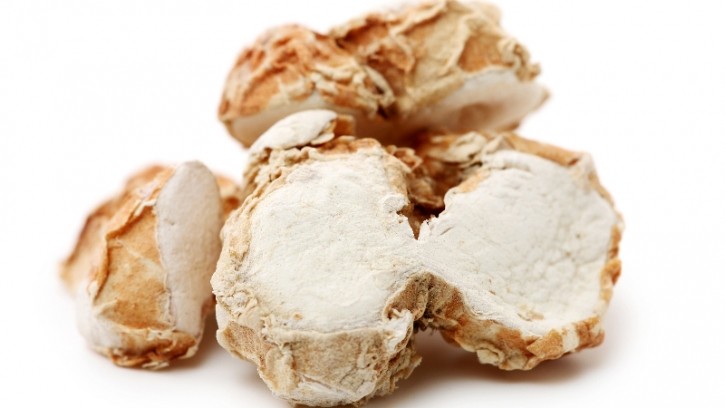 Extracts from sand ginger have been reported to present a range of beneficial biological activities. ©Getty Images