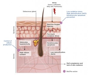 BioDTox -Mechanism of action