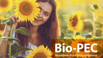 Bio-PECs are plant oil-derived, enzyme-mediated compounds created via bioprocessing, which share similar benefits as cannabidiol. ©Incospharm
