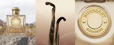 The Burberry Goddess fragrance has been a bestseller for Coty  