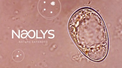 Exosomes: Passing Trend or Transformative Reality?