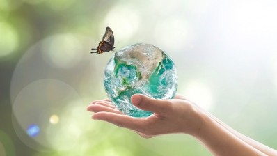 Amorepacific has published a new report detailing its sustainable practices and its 2020 goals. ©GettyImages