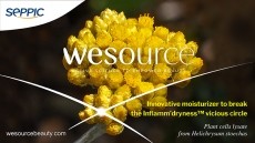 HYDRACHRYSUM™ breaks Inflamm’dryness™vicious cycle