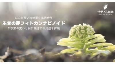 Butterbur bud phytocannabinoids have been found to exert a CBD-like effect, particularly in anti-inflammation. ©Saticine Medical 