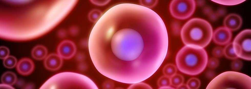 Preventing and repairing skin against photoaging caused by UV and IR radiation