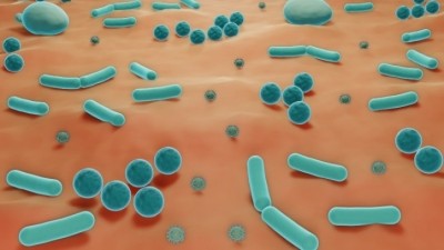 A round-up of research on exosomes, probiotics, cloud ear mushrooms and more. [Getty Images]