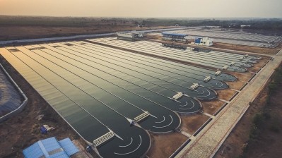 Parry grows its algal ingredients at a plant in Tamil Nadu, India.